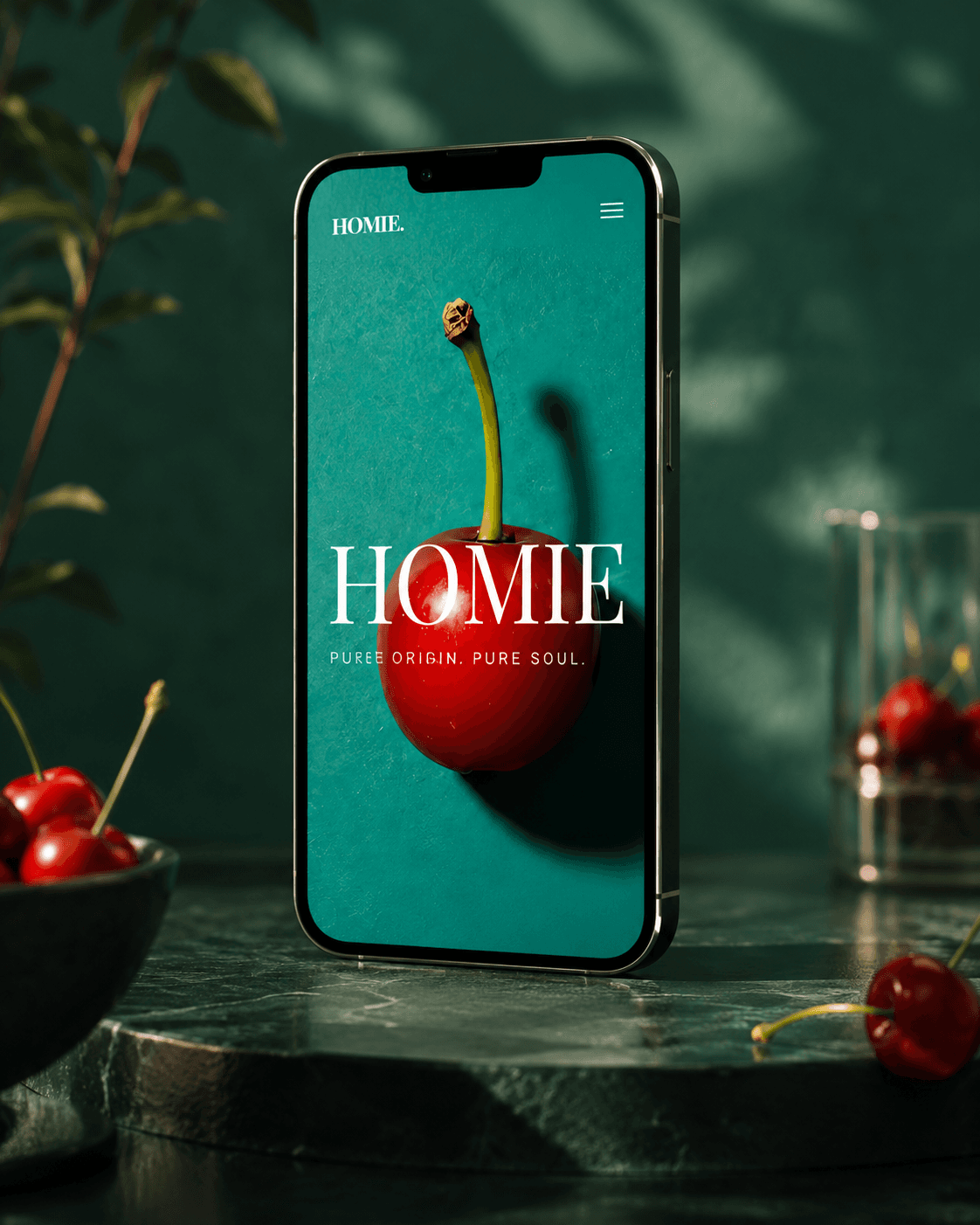 Homie. mobile project preview